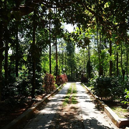 Silver Springs Homestay Chickmagalur Chikmagalūr Exterior foto